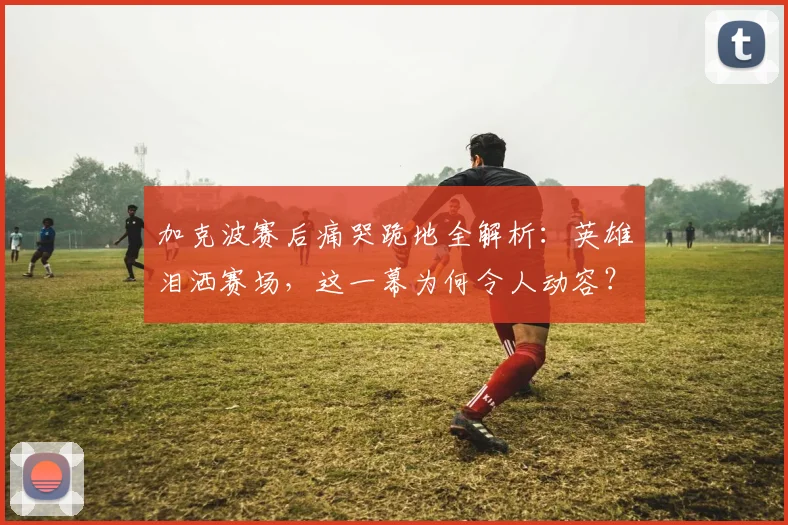 加克波赛后痛哭跪地全解析：英雄泪洒赛场，这一幕为何令人动容？
