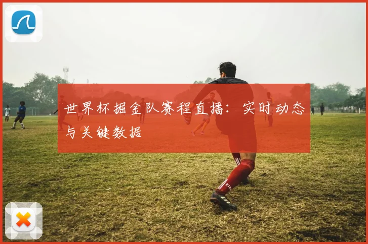世界杯掘金队赛程直播：实时动态与关键数据